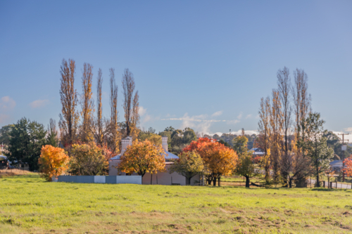 An autumn scene in the country under a blue sky - Australian Stock Image
