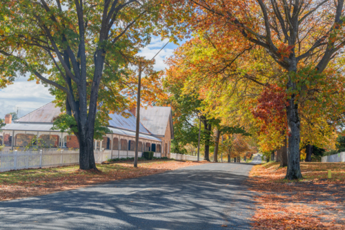 An autumn scene with autumn foliage, an avenue of trees and an old stone cottage - Australian Stock Image