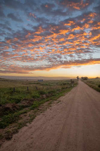 An early morning, a colourful dawn sky, and a country road - Australian Stock Image