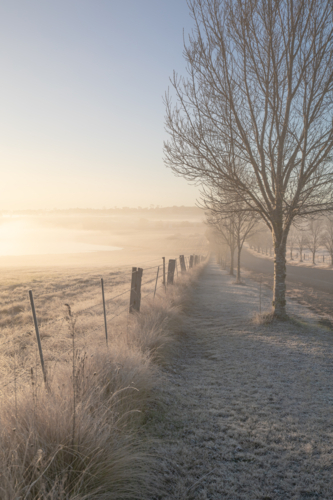 An early winter morning in country Australia - Australian Stock Image