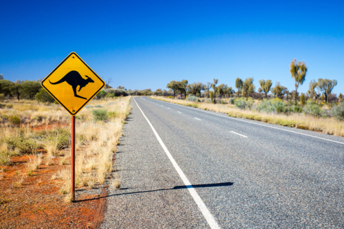 An iconic warning road sign for kangaroos near Uluru in Northern Territory, Australia - Australian Stock Image