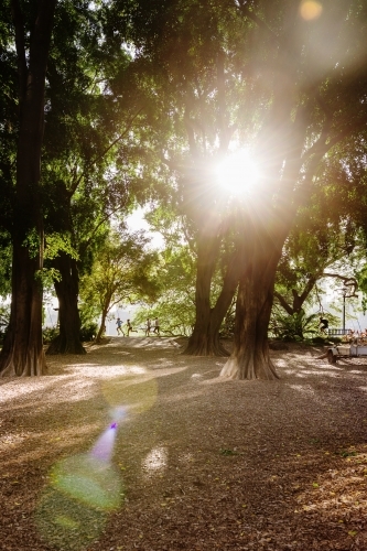 anonymous blurred people in parkland in the morning - Australian Stock Image