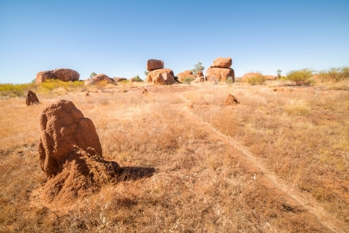 Ant hill in foreground with large stone formations in the background - Australian Stock Image