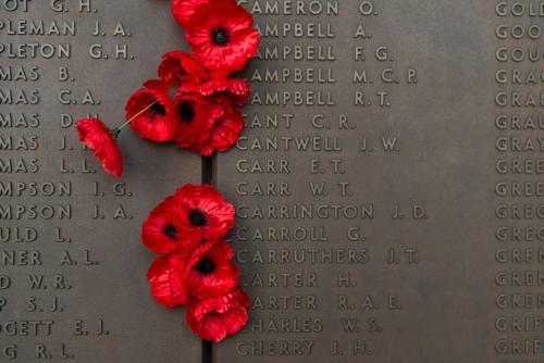 ANZAC DAY at the Australian War Memorial close up of poppies - Australian Stock Image