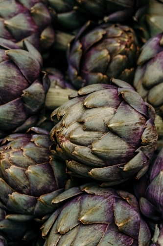 Artichokes - Australian Stock Image