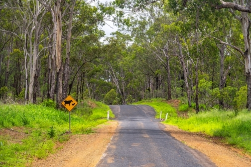 Asphalt country road with cattle crossing warning sign - Australian Stock Image