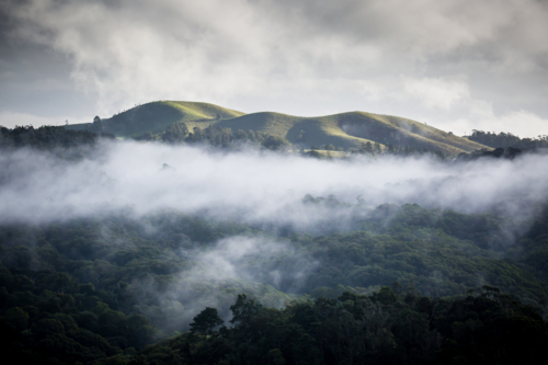 Atherton Tablelands on a misty winter's morning in Queensland, Australia - Australian Stock Image