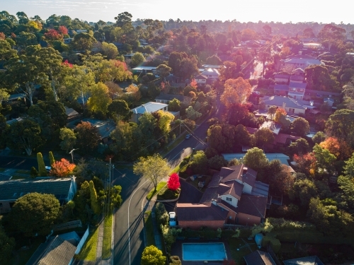 Australian homes nestled among gum trees beside street in outer Melbourne suburb - Australian Stock Image