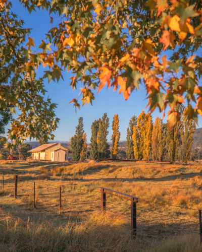 Autumn leaves and a blue sky day in the country - Australian Stock Image