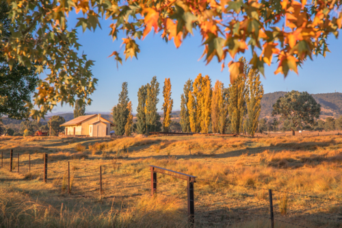 Autumn leaves and a blue sky day in the country - Australian Stock Image