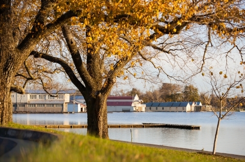 Autumn trees by the lake - Australian Stock Image