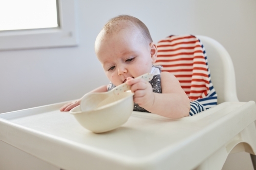 Baby girl eating in high chair - Australian Stock Image