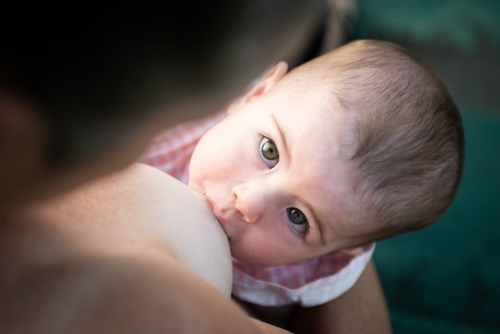 Baby girl looking up at mother while breast feeding. - Australian Stock Image