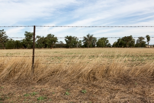 Background of barbed wire fence and farm paddock - Australian Stock Image