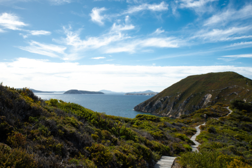 Bald head Trail