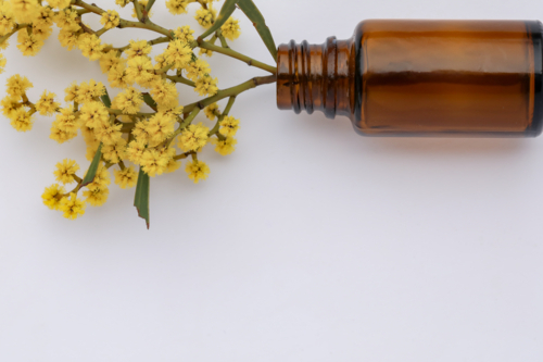 Basic white background image featuring small isolated amber glass vial with yellow wattle flowers - Australian Stock Image