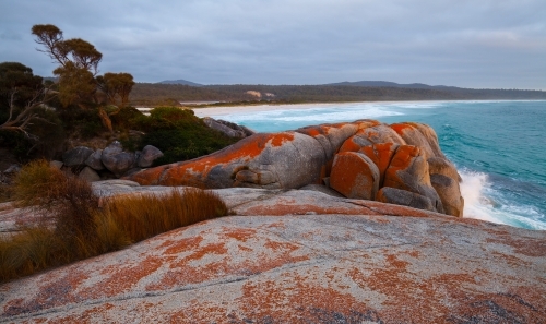 Bay of Fires - Tasmania - Australian Stock Image