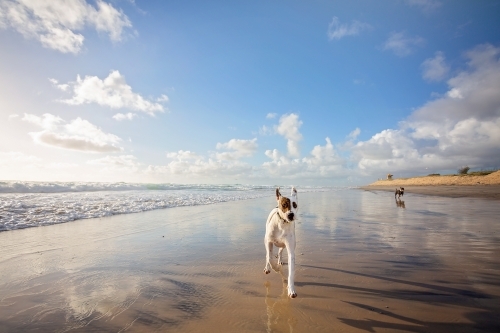 Beach - Australian Stock Image