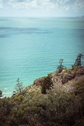 Beach coastal view from a hillside covered with shrubs and trees - Australian Stock Image