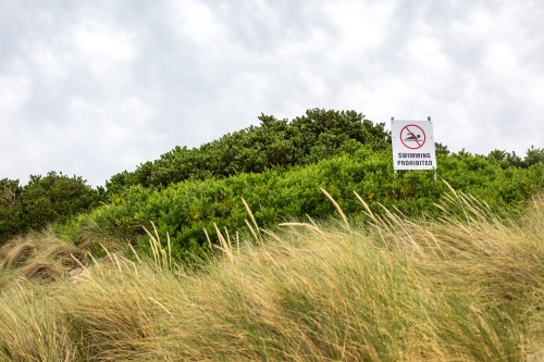 Beach signs in the dune grass - Australian Stock Image