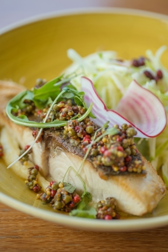 Beautifully plated fish and salad - Australian Stock Image