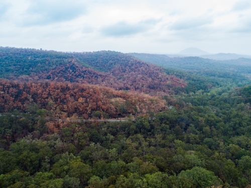 Bend in mountain road with burnt trees along the ridge lines after bushfire - Australian Stock Image