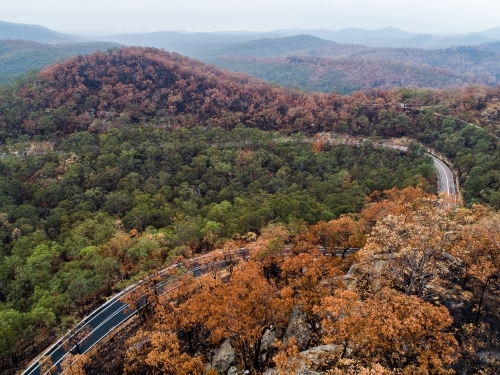 Bend in mountain road with burnt trees along the ridge lines after bushfire - Australian Stock Image