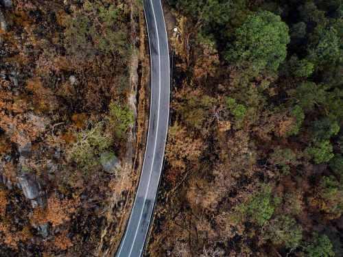 Bend in Putty road with burnt trees after a bushfire - Australian Stock Image