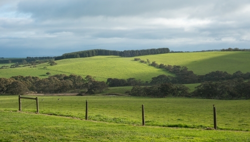 Big green field - Australian Stock Image