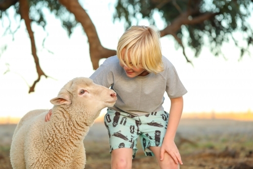 Blonde boy showing affection to pet sheep in the country - Australian Stock Image