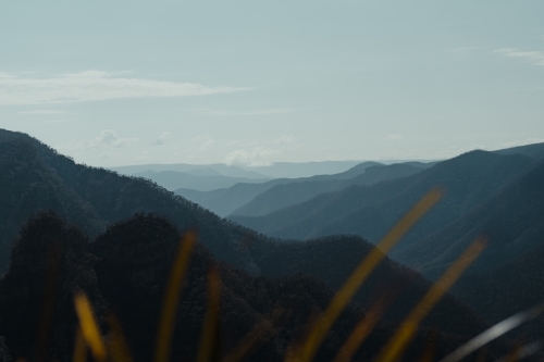 Blue mountain layers through the valley at Kanangra Walls Lookout on a sunny day - Australian Stock Image