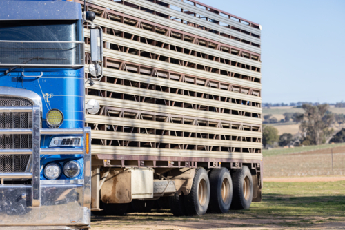 Blue truck and empty stock crate - Australian Stock Image