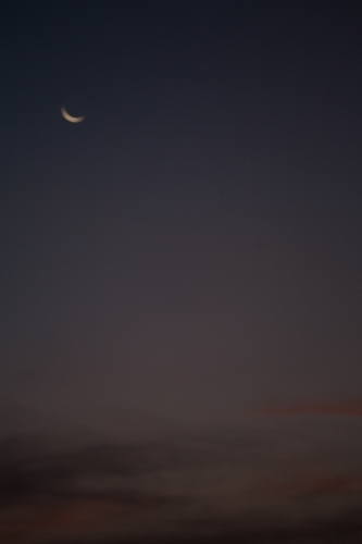 Blurred evening sky with crescent moon - Australian Stock Image