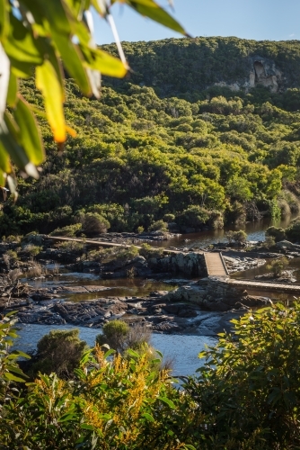 Boardwalk trail over river in bush land - Australian Stock Image