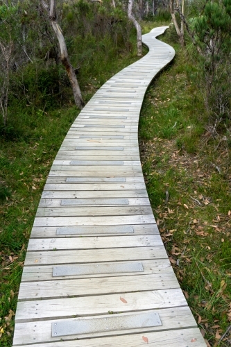 Boardwalk winding through nature - Australian Stock Image