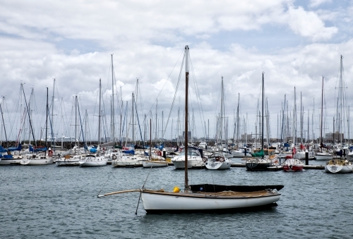 boats anchored in harbour with Melbourne skyline in background