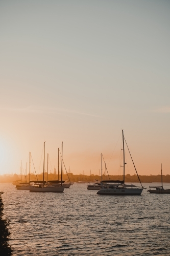 Boats and yachts sitting on the river at sunset near the Yamba Marina on the Clarence River. - Australian Stock Image