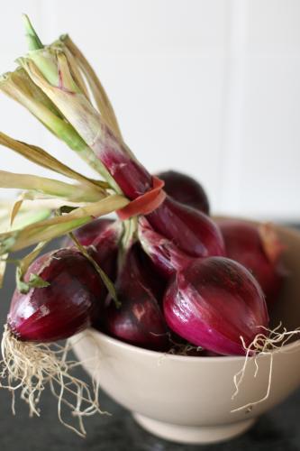 Bowl of red onions - Australian Stock Image