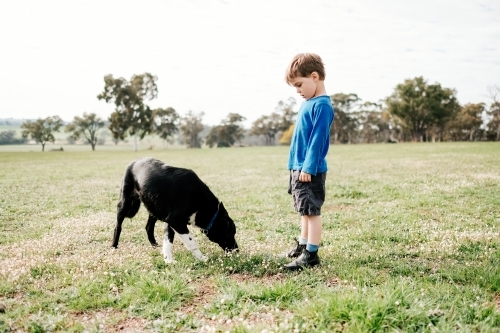 Boy and his dog on the farm - Australian Stock Image