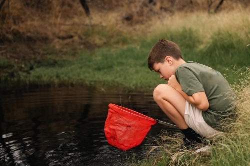 Boy catching tadpoles. Outdoor nature activity. - Australian Stock Image