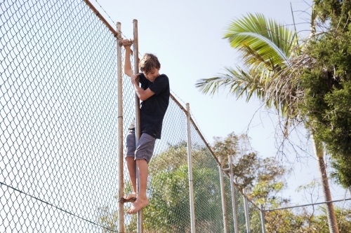 Boy climbing a fence