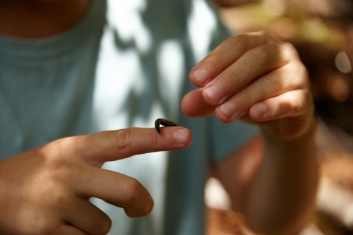 Boy holding leech - Australian Stock Image