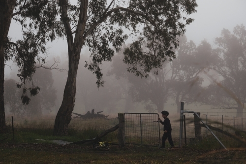 Boy opening gate on rural property on misty winter morning with large trees in background - Australian Stock Image