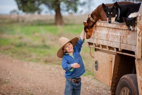 Boy pats his kelpie dog on the back of the farm ute - Australian Stock Image