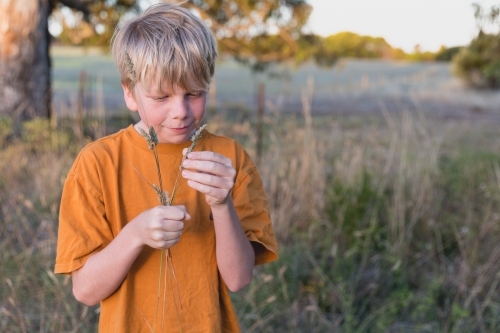 Boy picking roadside foliage in the country - Australian Stock Image