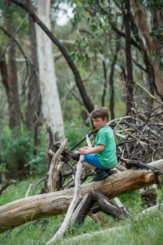 Boy playing in natural bush - Australian Stock Image