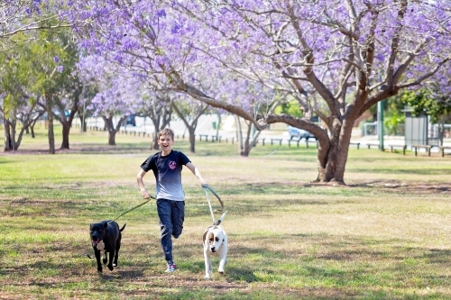 Boy playing outside with Jacaranda flowers - Australian Stock Image