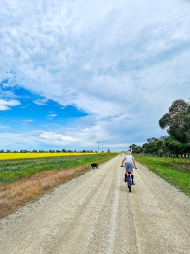 Boy riding bike down country lane beside canola field - Australian Stock Image