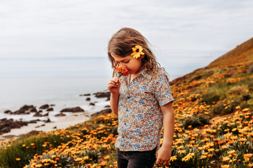 Boy smelling a flower standing in a field of flowers on the coast - Australian Stock Image