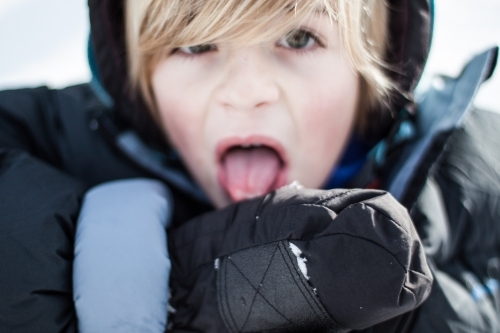 Boy tasting snow - Australian Stock Image